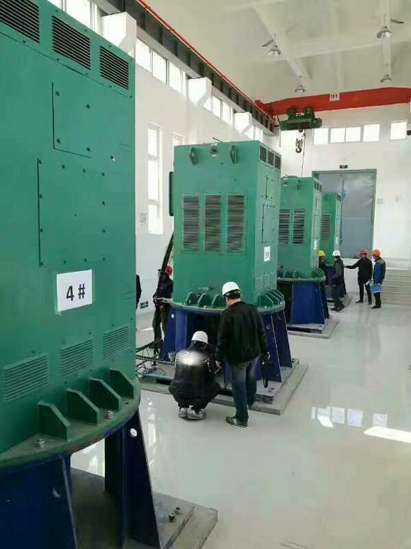英吉沙某污水处理厂使用我厂的立式高压电机安装现场