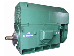 英吉沙Y系列6KV高压电机